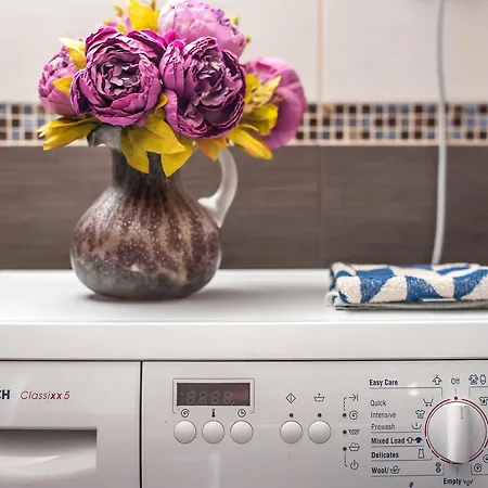 Wizard House * بلغراد